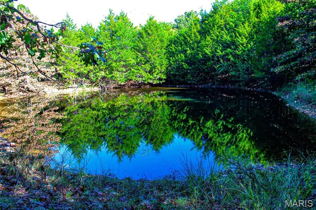 $513,000 | Tbd Tbd Brownsville Road, Stoutland, MO 65567