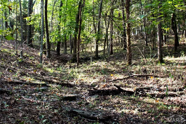 $513,000 | Tbd Tbd Brownsville Road, Stoutland, MO 65567