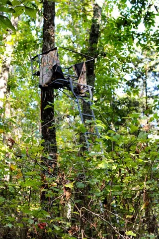 $513,000 | Tbd Tbd Brownsville Road, Stoutland, MO 65567