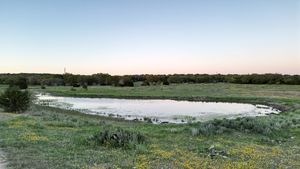 215 70l Rd Junction Junction, TX 76849 - Photo 22 of 43 a view of a lake from a yard