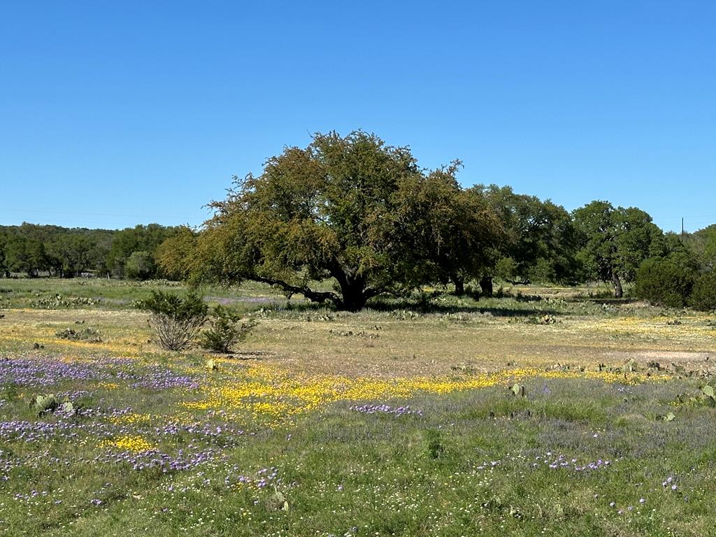 215 70l Rd Junction Junction, TX 76849 - Photo 34 of 43
