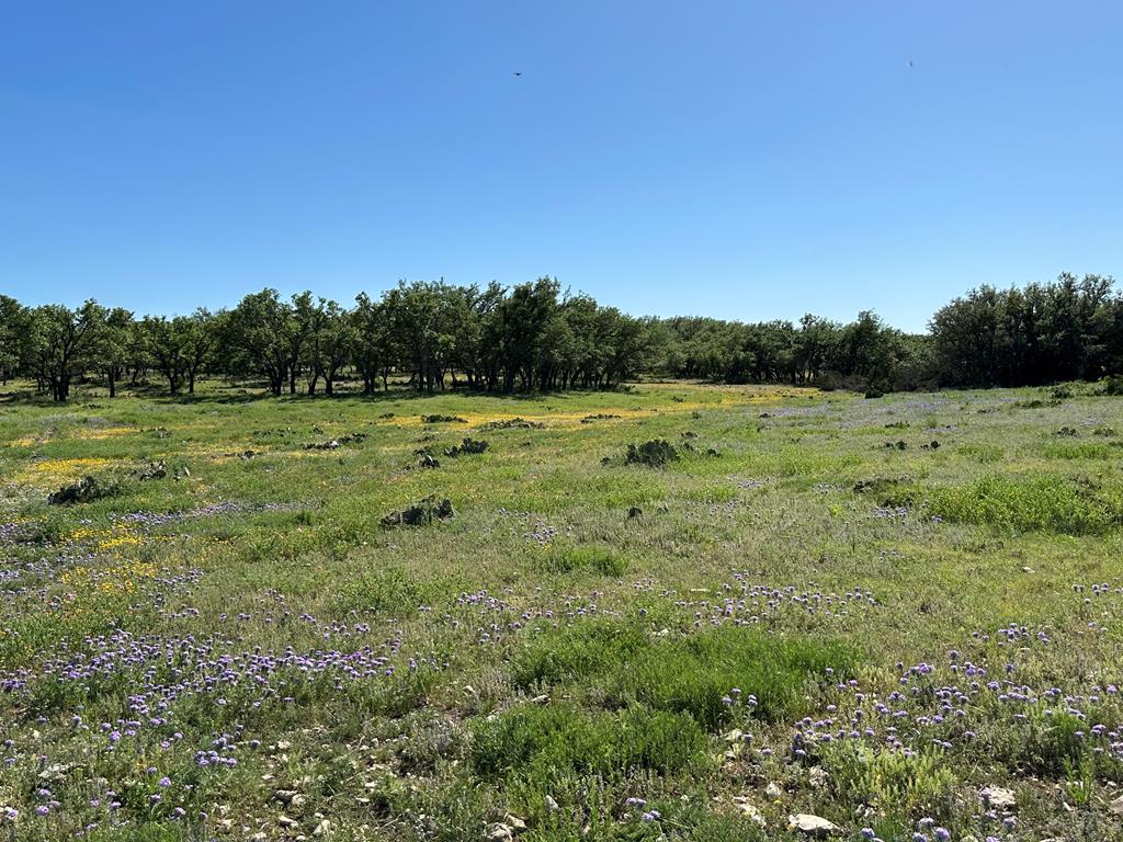 215 70l Rd Junction Junction, TX 76849 - Photo 35 of 43