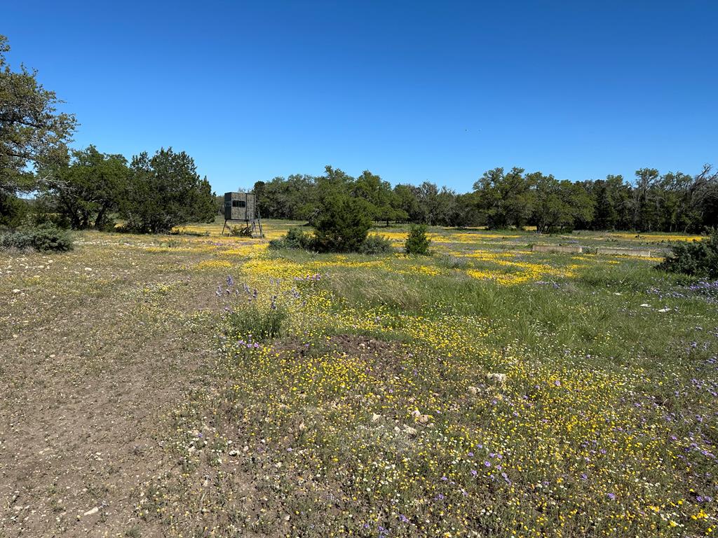215 70l Rd Junction Junction, TX 76849 - Photo 36 of 43