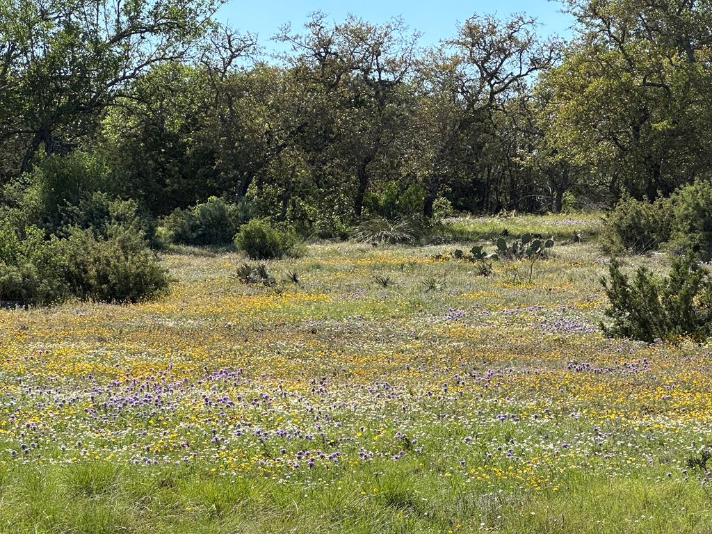 215 70l Rd Junction Junction, TX 76849 - Photo 37 of 43