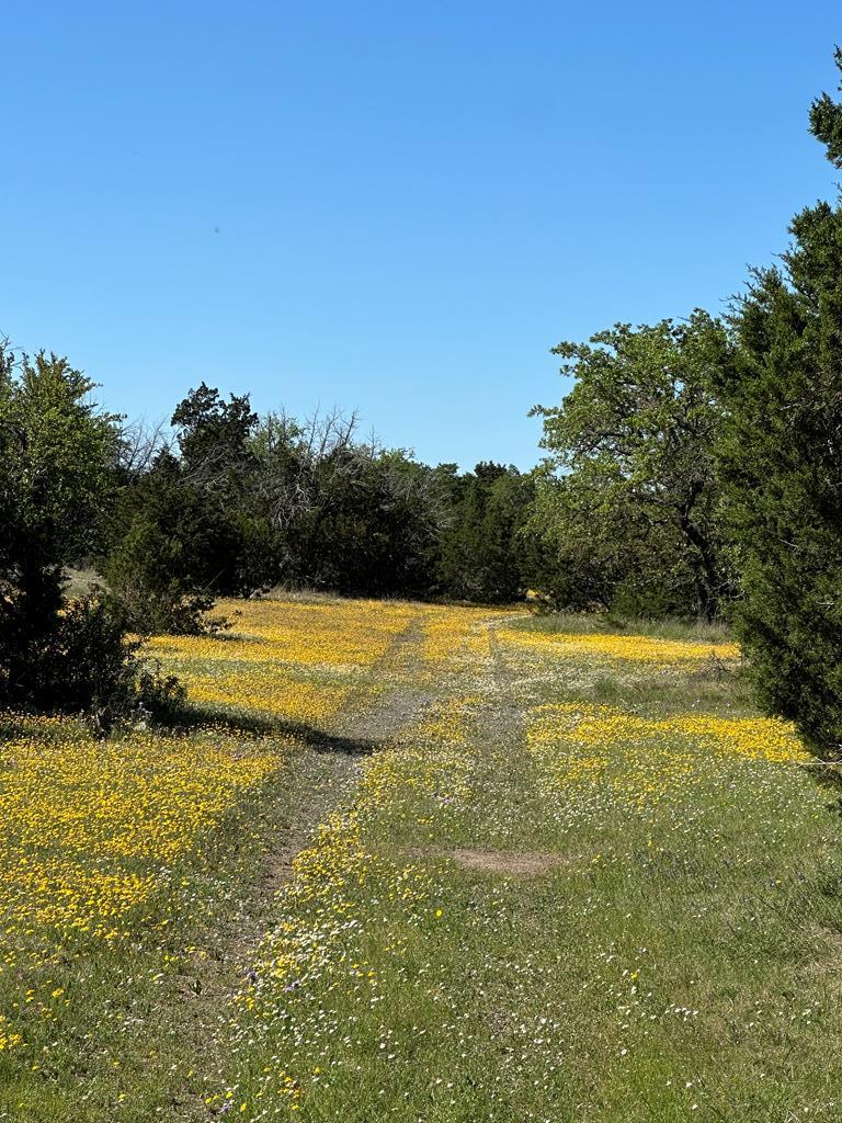 215 70l Rd Junction Junction, TX 76849 - Photo 39 of 43