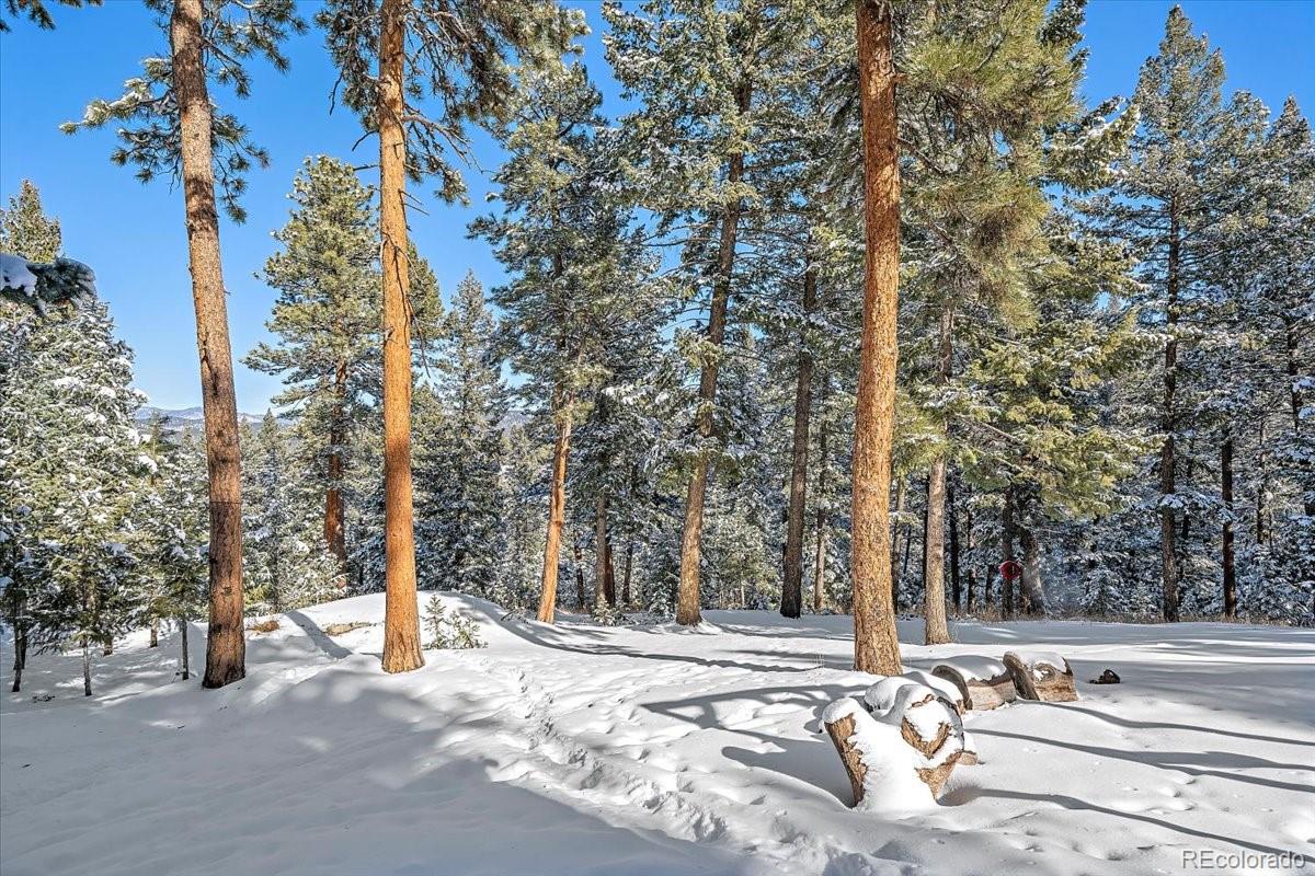 4551 Hilltop Road Evergreen, CO 80439 - Photo 20 of 30 a view of a yard with trees