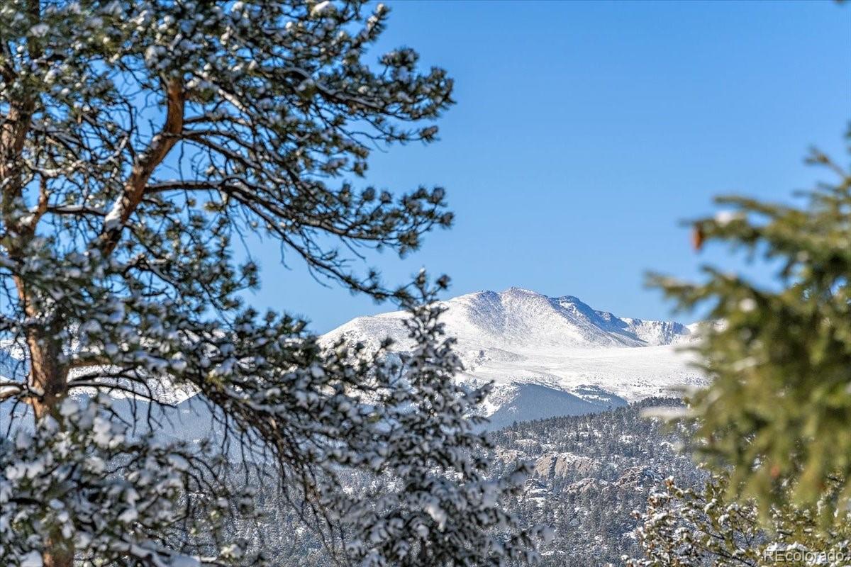 4551 Hilltop Road Evergreen, CO 80439 - Photo 22 of 30 a view of a tree in a yard