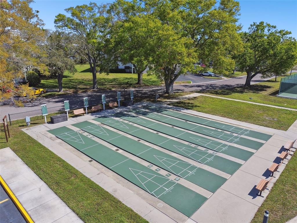 2291 Americus Boulevard West, Unit 3 Clearwater, FL 33763 - Photo 52 of 88