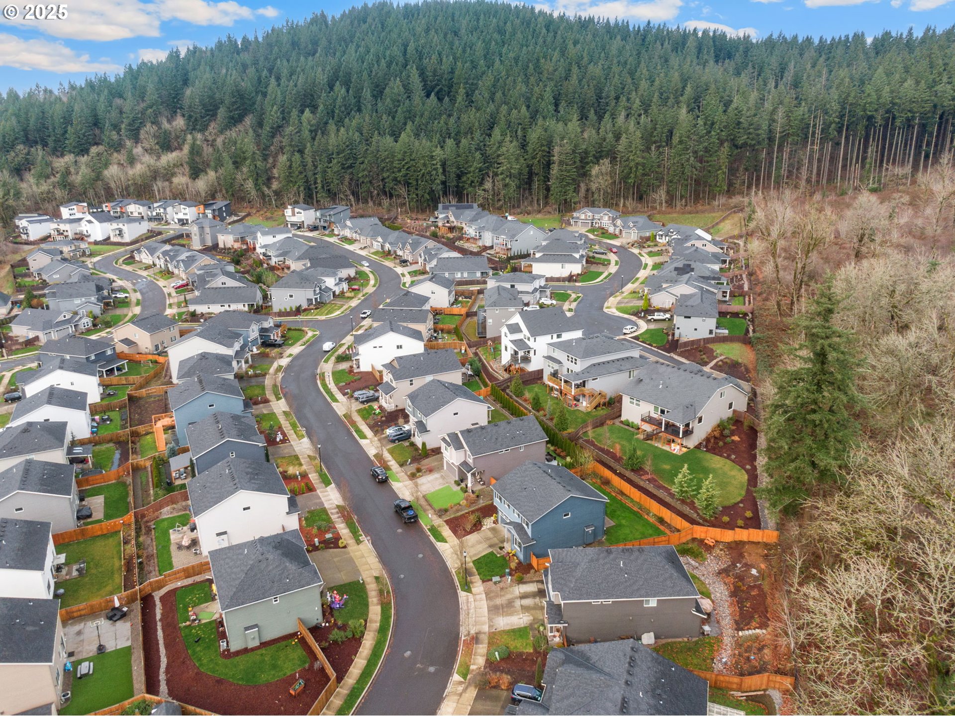 9448 North Alder Street Camas, WA 98607 - Photo 38 of 47 Community Park