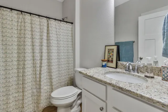 a view of a garden with a large trees