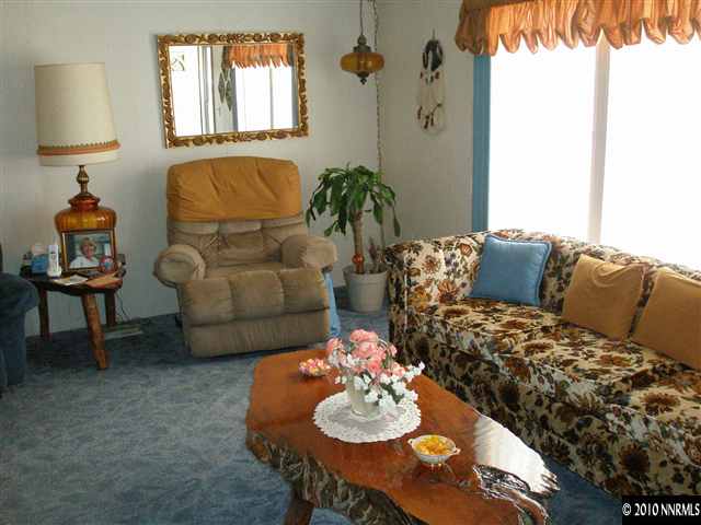 1672 Soda Lake Road Fallon, NV 89406 - Photo 6 of 9 a living room with furniture and a lamp