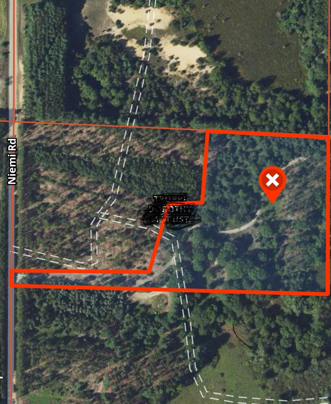 10-acres Niemi Road Kaleva, MI 49645 - Photo 16 of 24