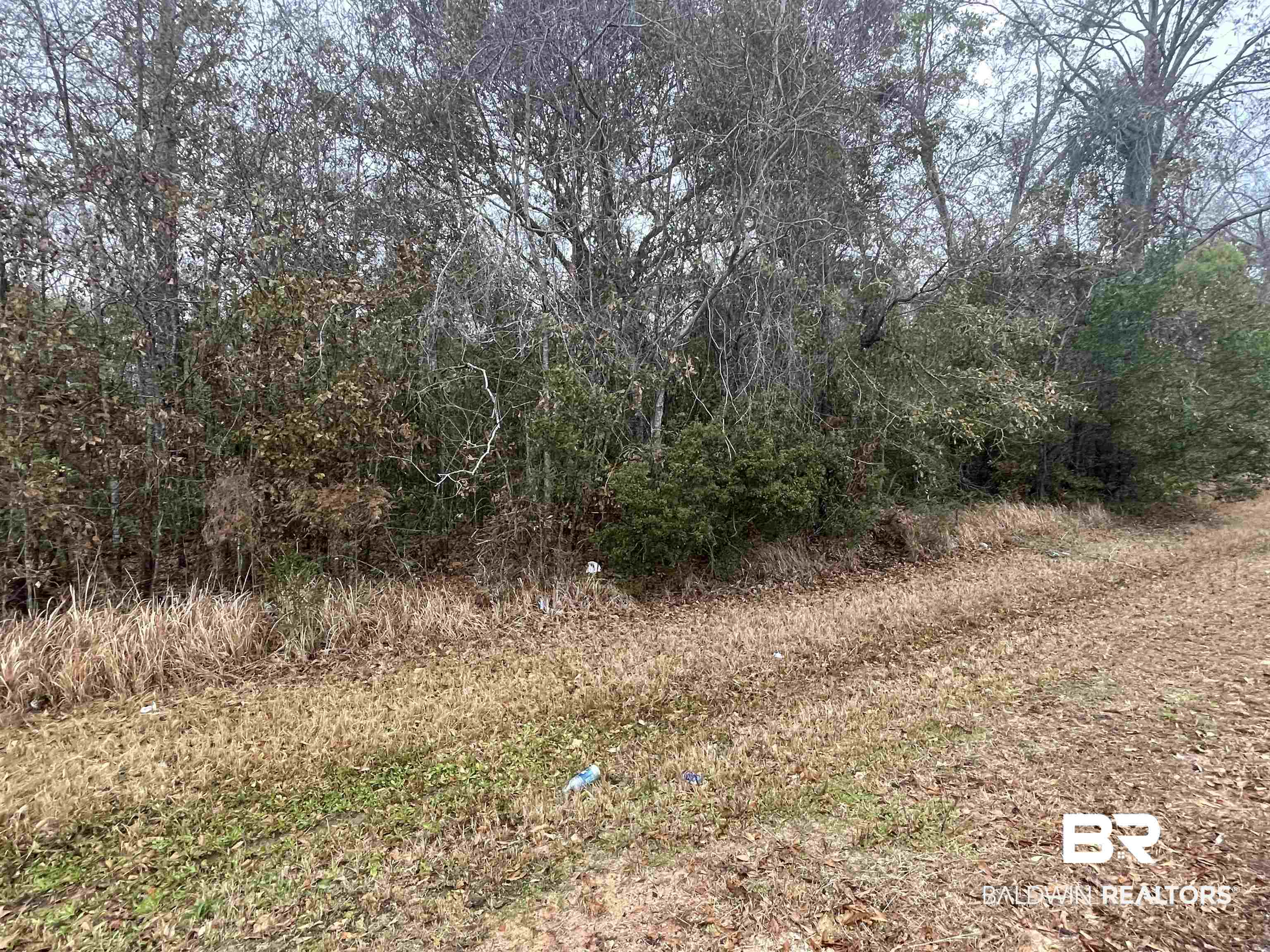 0 Elmo Avenue Theodore, AL 36582 - Photo 2 of 4