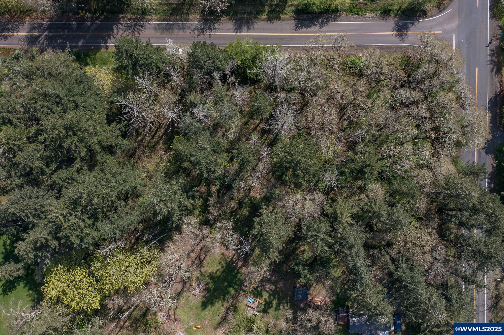 Lot 1102 Valley View Albany, OR 97321 - Photo 7 of 24 Gallery Image 7