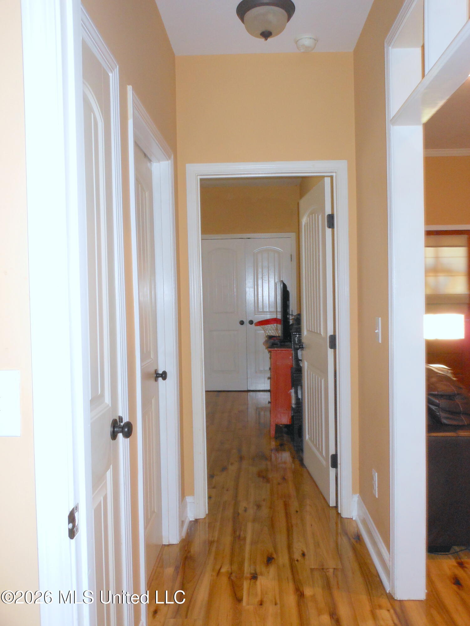 104 Silver Ridge Lane Pearl, MS 39208 - Photo 17 of 30 104.Hallway.1.2