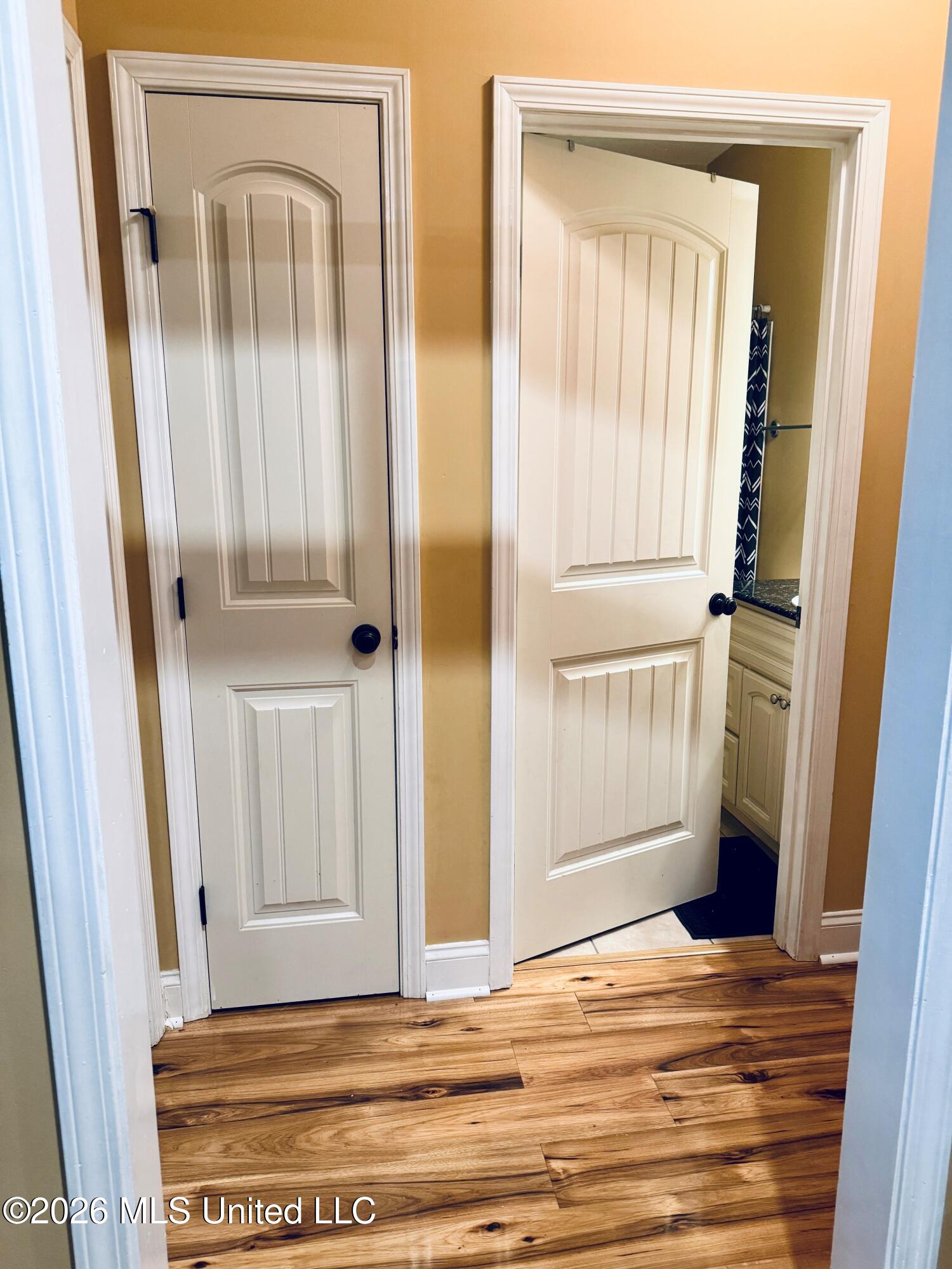 104 Silver Ridge Lane Pearl, MS 39208 - Photo 9 of 30 104.Hallway.A