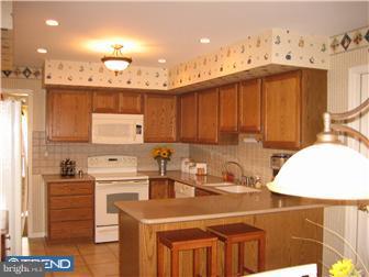 246 Spring Run Lane Downingtown, PA 19335 - Photo 6 of 12 Kitchen