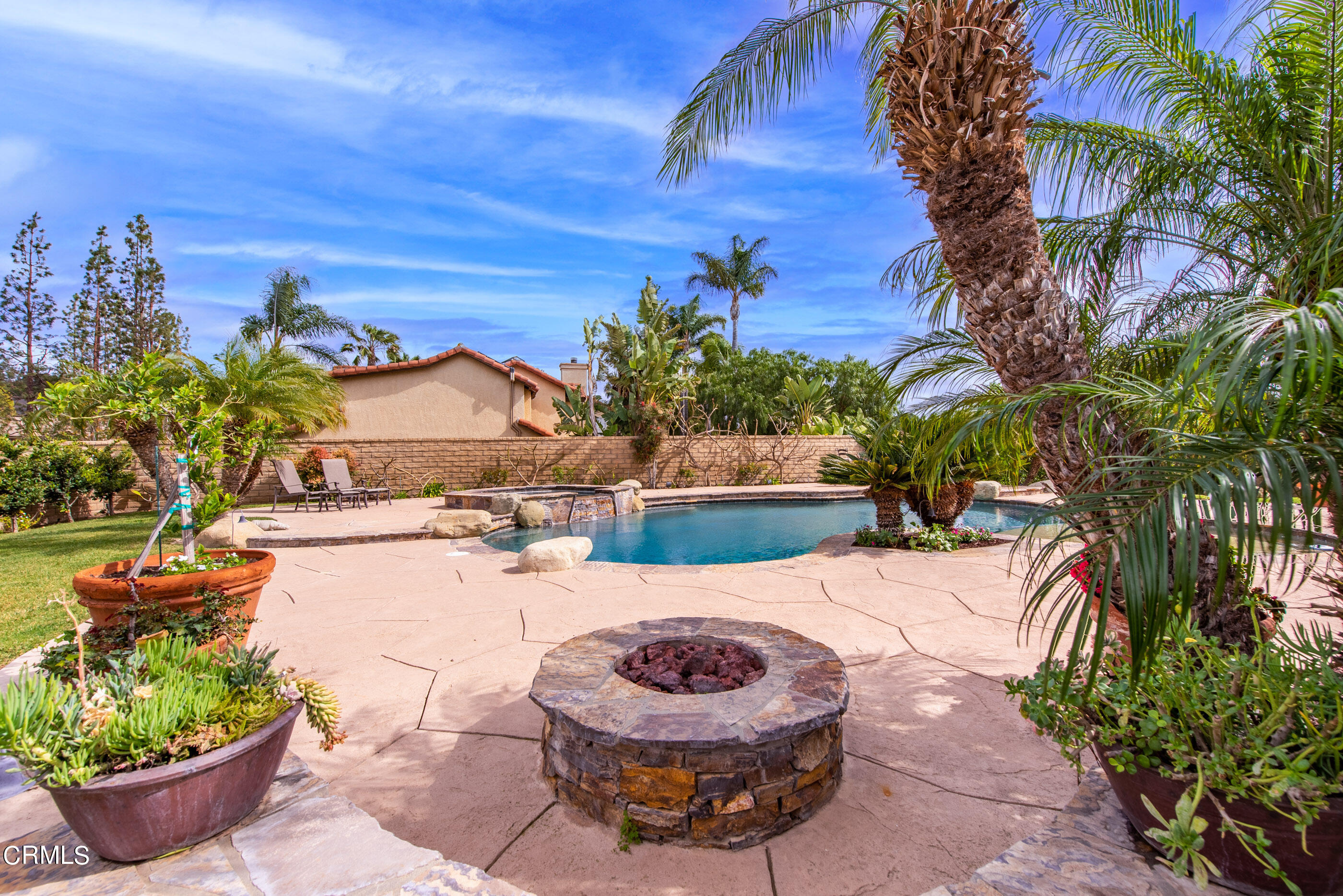 6893 Aviano Drive Camarillo, CA 93012 - Photo 48 of 67 a view of a backyard with plants and swimming pool