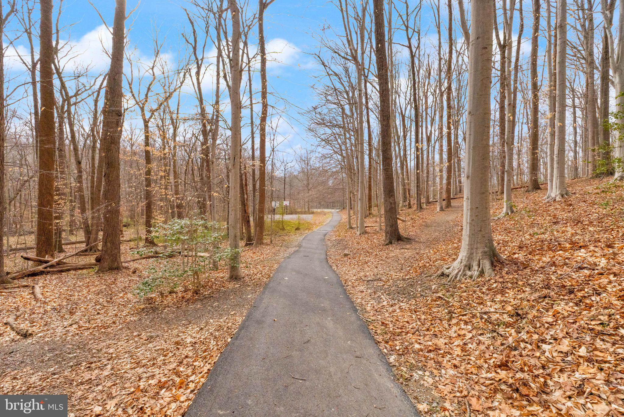 6027 Ridge Ford Drive Burke, VA 22015 - Photo 66 of 74