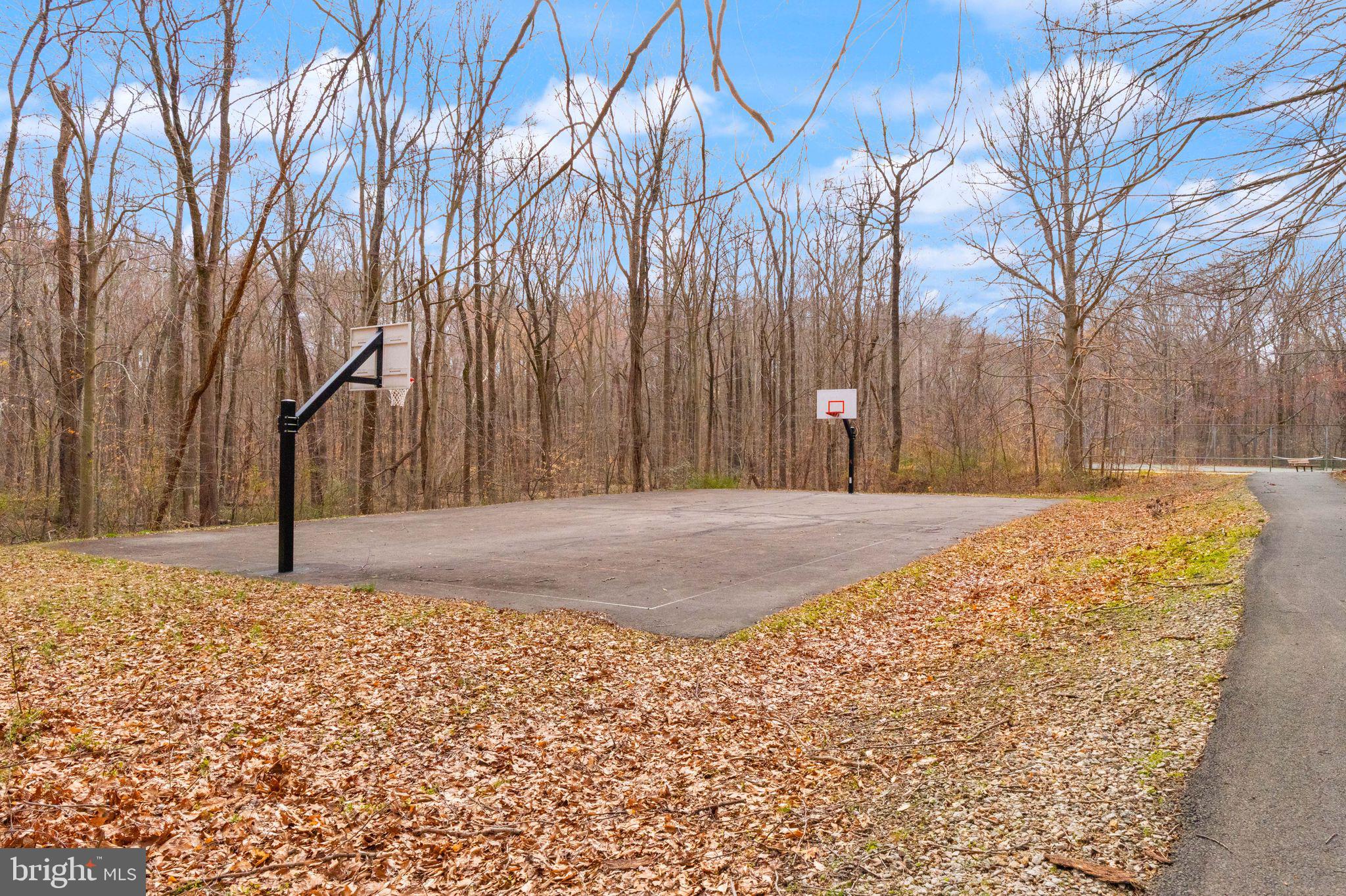 6027 Ridge Ford Drive Burke, VA 22015 - Photo 67 of 74 community