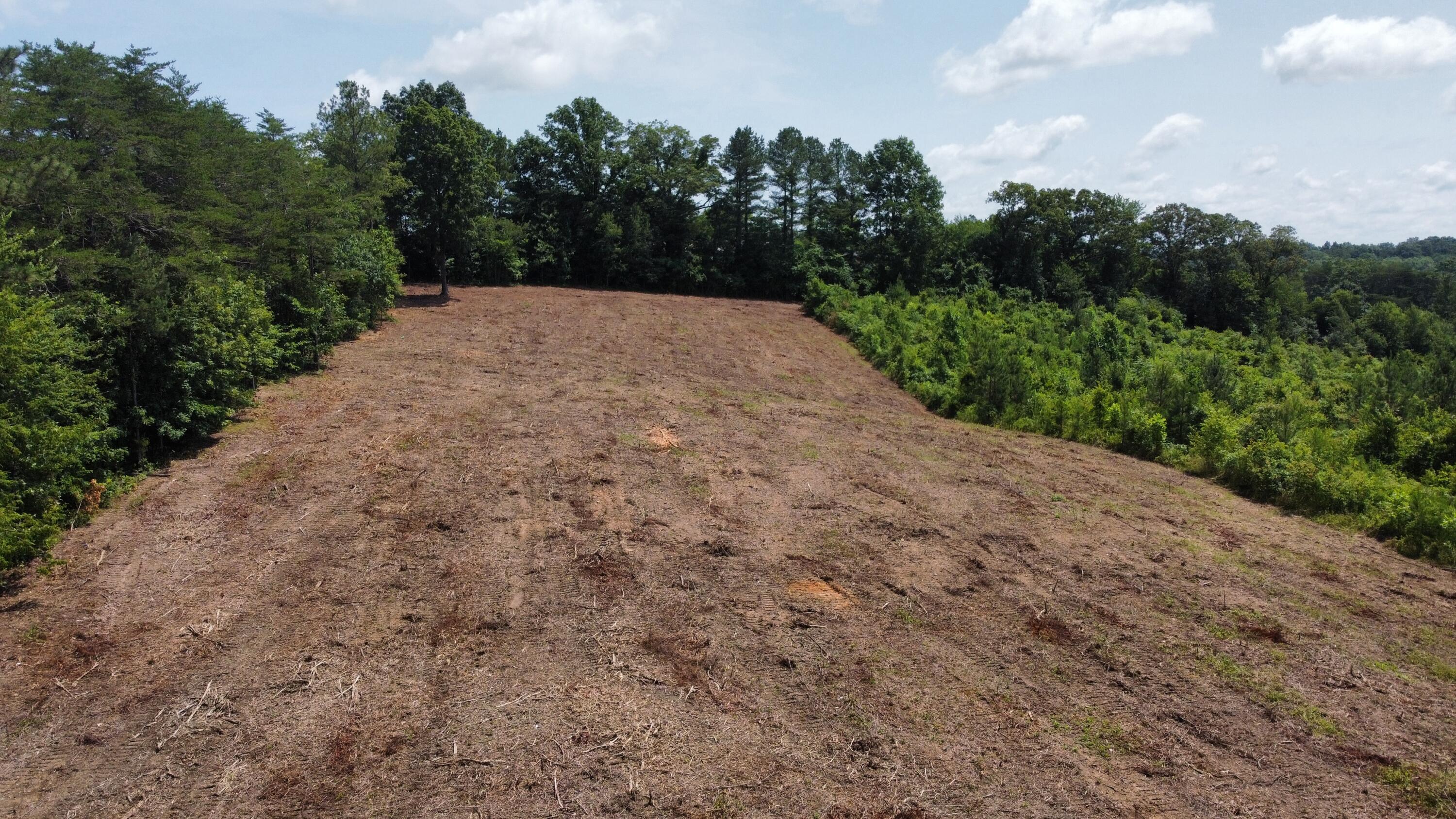 3 Lake Rd Spring Evensville, TN 37332 - Photo 13 of 18 Photo Jun 10 2025, 1 27 21 PM (1) (1)