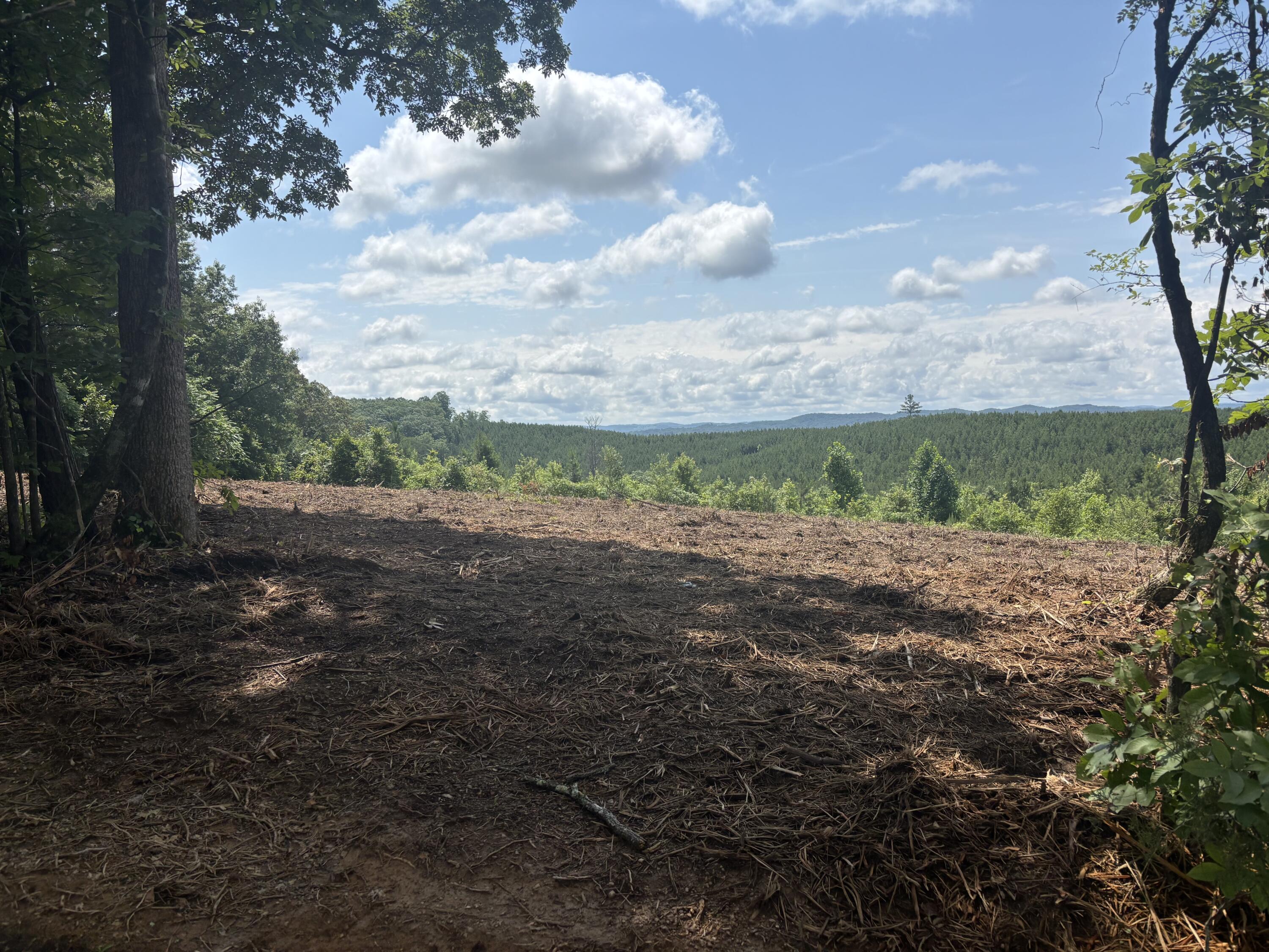 3 Lake Rd Spring Evensville, TN 37332 - Photo 2 of 18 Photo Jun 10 2025, 11 47 50 AM