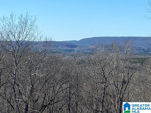 414 Stone Ridge, Unit 5 AND 6 Springville, AL 35146 - Photo 3 of 20