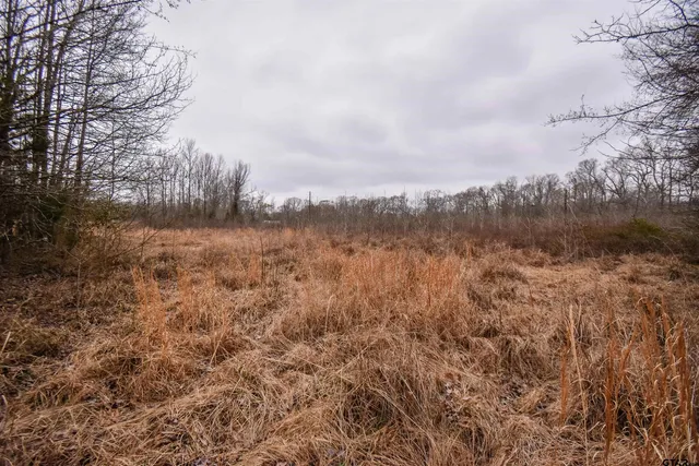 a view of a dry yard with trees