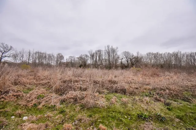 $85,000 | 4107 Cr 3800 Athens Tx 75752, Athens, TX 75752