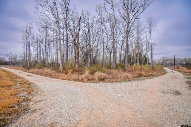 a view of backyard with green space