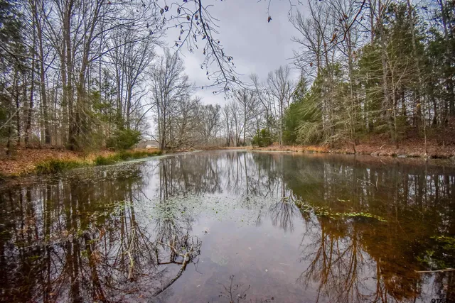 a view of a yard covered with snow