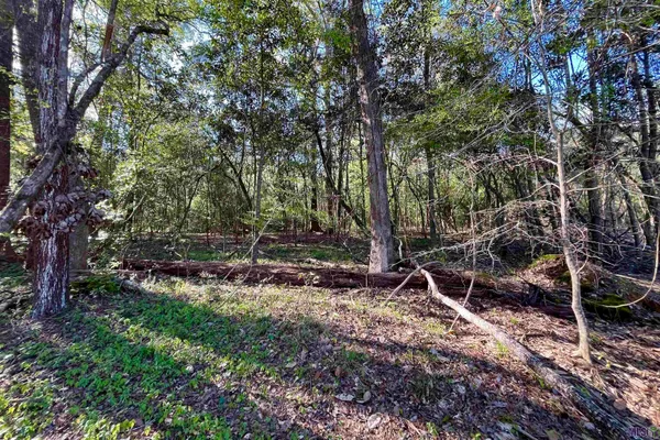 $160,990 | 25 Lillian Lane, Ethel, LA 70730