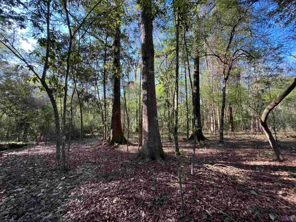 $160,990 | 25 Lillian Lane, Ethel, LA 70730