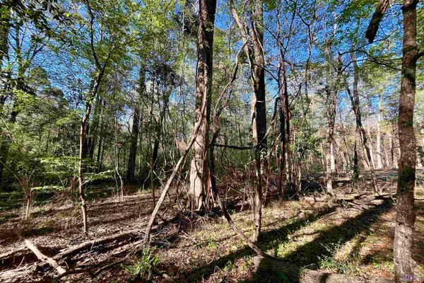 $160,990 | 25 Lillian Lane, Ethel, LA 70730