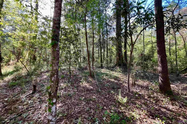 $160,990 | 25 Lillian Lane, Ethel, LA 70730