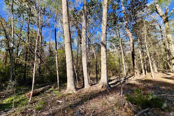 $160,990 | 25 Lillian Lane, Ethel, LA 70730