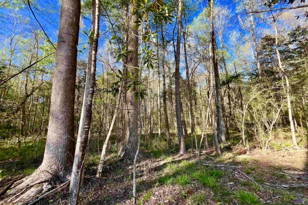 $160,990 | 25 Lillian Lane, Ethel, LA 70730