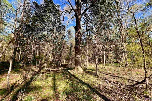 $160,990 | 25 Lillian Lane, Ethel, LA 70730