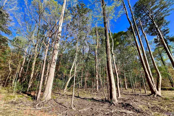 $160,990 | 25 Lillian Lane, Ethel, LA 70730