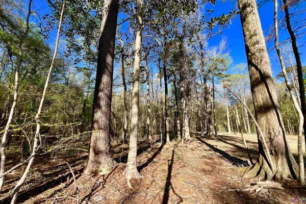 $160,990 | 25 Lillian Lane, Ethel, LA 70730