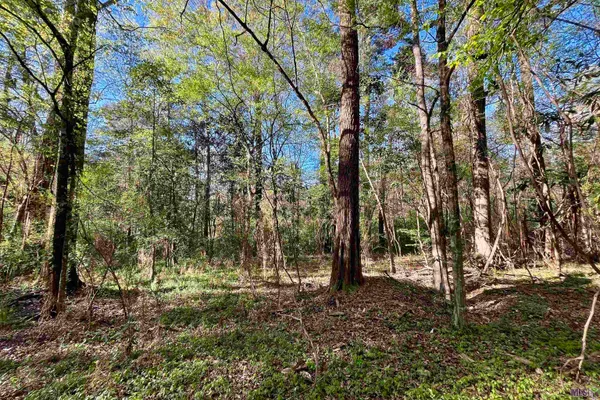 $160,990 | 25 Lillian Lane, Ethel, LA 70730