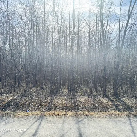 a view of wooden fence