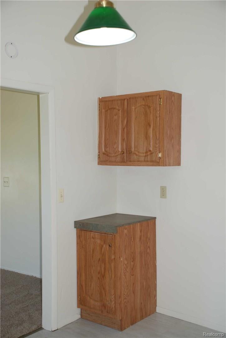 4647 Blue Bush Road Monroe, MI 48162 - Photo 38 of 39 DSC_0254.jpg
