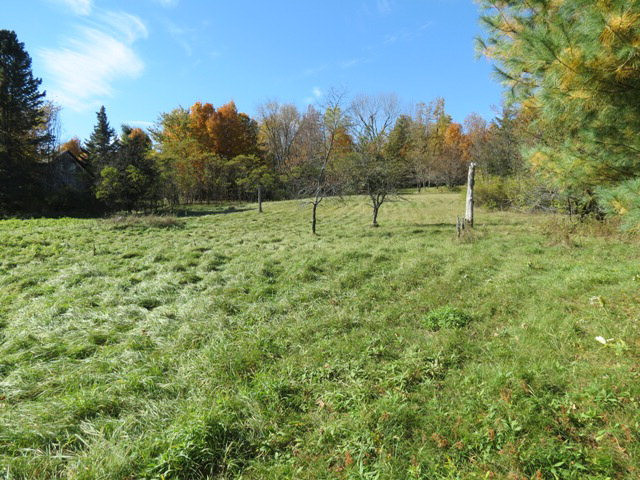 1 Stickney Bridge Road Jay, NY 12941 - Photo 6 of 9 Gallery Image 6