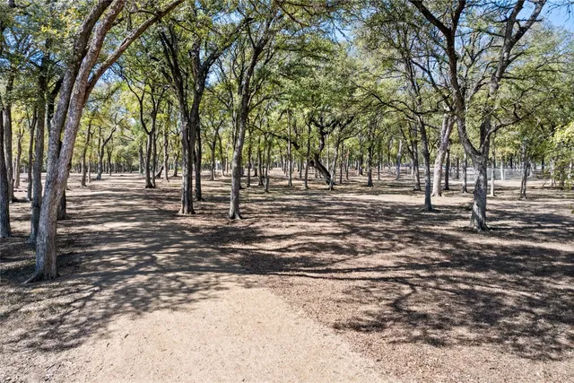 a view of road with trees