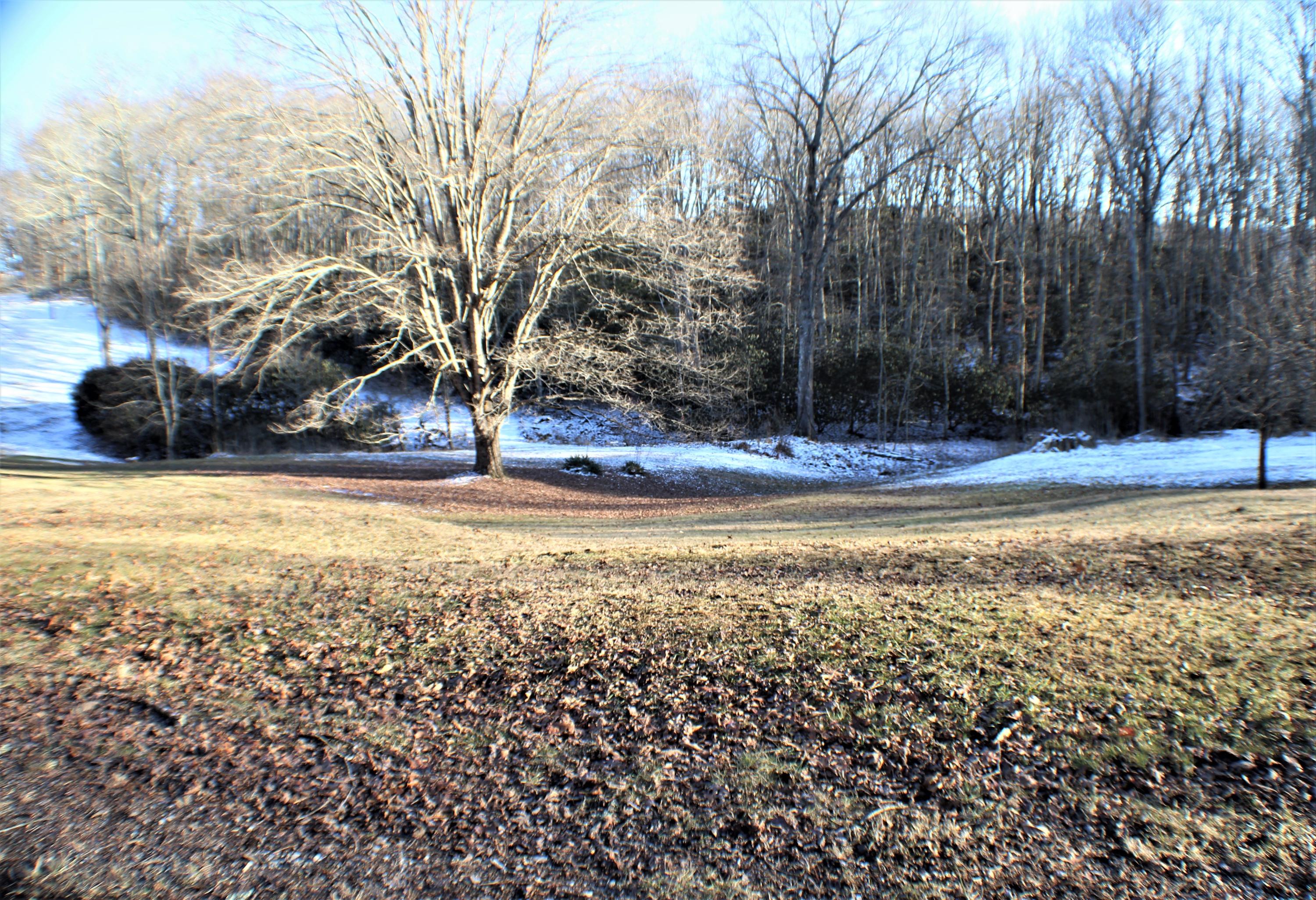 735 Old Buckeye Road Buckeye, WV 24924 - Photo 5 of 27 Gallery Image 5