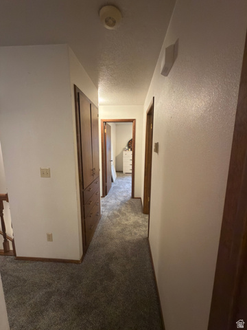 1164 East Mountain Road Logan, UT 84321 - Photo 36 of 45 Hallway featuring gray carpeting, white walls, wood trim, and wood built-in cabinetry
