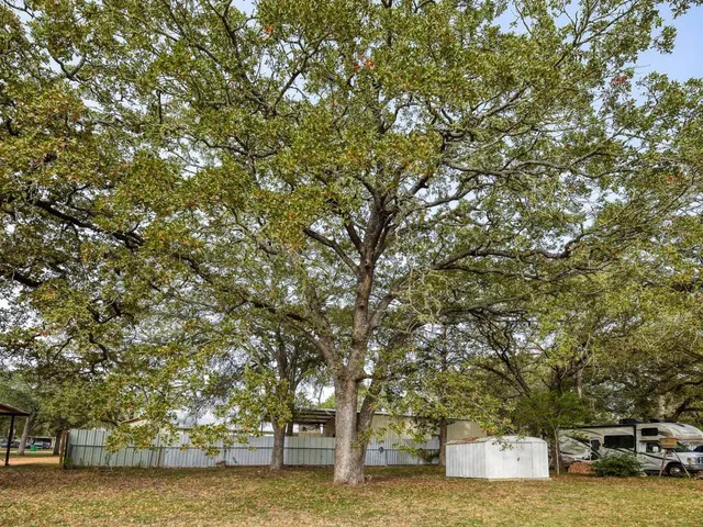 $284,500 | 504 Hickory Street, Smithville, TX 78957