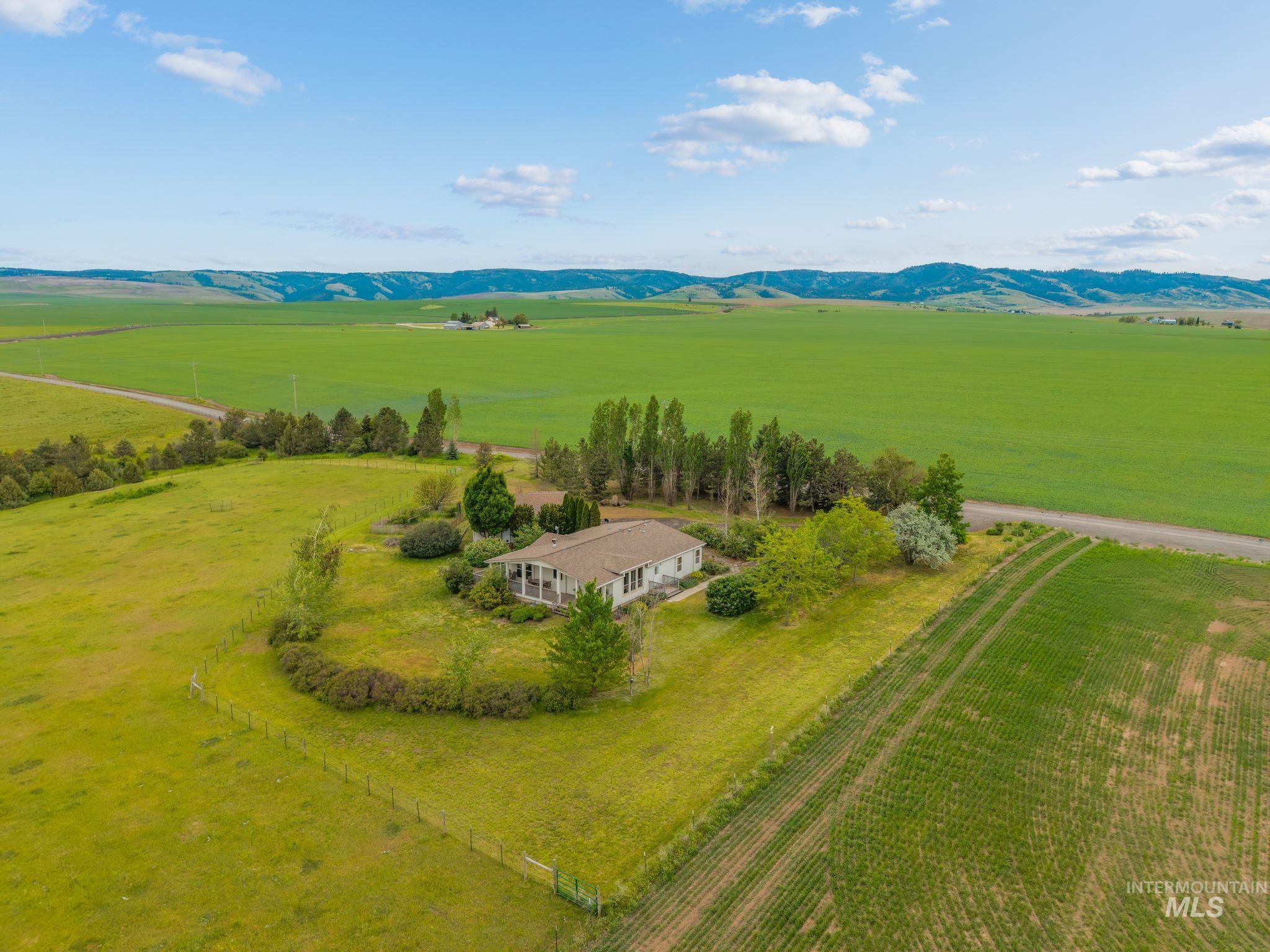 37989 Rosenkrantz Road Lewiston, ID 83501 - Photo 4 of 50
