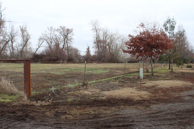 301 Chamberlain Road Walla Walla, WA 99362 - Photo 1 of 1 a view of a field with trees in the background